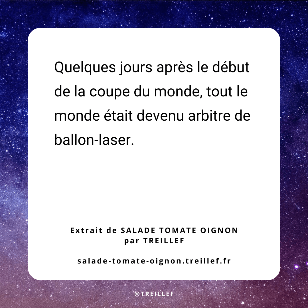 Extrait du livre Salade Tomate Oignon